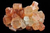 Lot: Small Twinned Aragonite Crystals - Pieces #78103-4